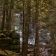 Illustration for article titled Fall Photos 2